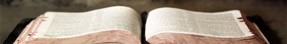 Bible Courses